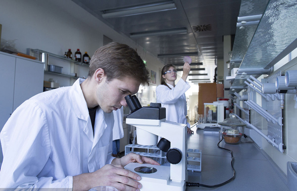 汽油密度檢測(cè)