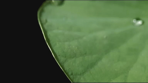 國外新型船用防腐材料發展概述